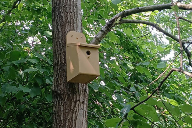 A bird box made by our students for Thornberry Animal Sanctuary and Manvers Lake